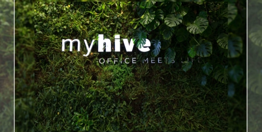 mlv.sk-foto-stanok-video-fotostanok-myhive-my-hive
