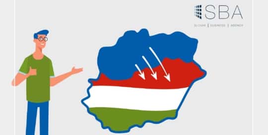 mlv.sk-animovane-video-ilustracia_SBA-2019_panacik-a-madarsko-slovenske-vztahy
